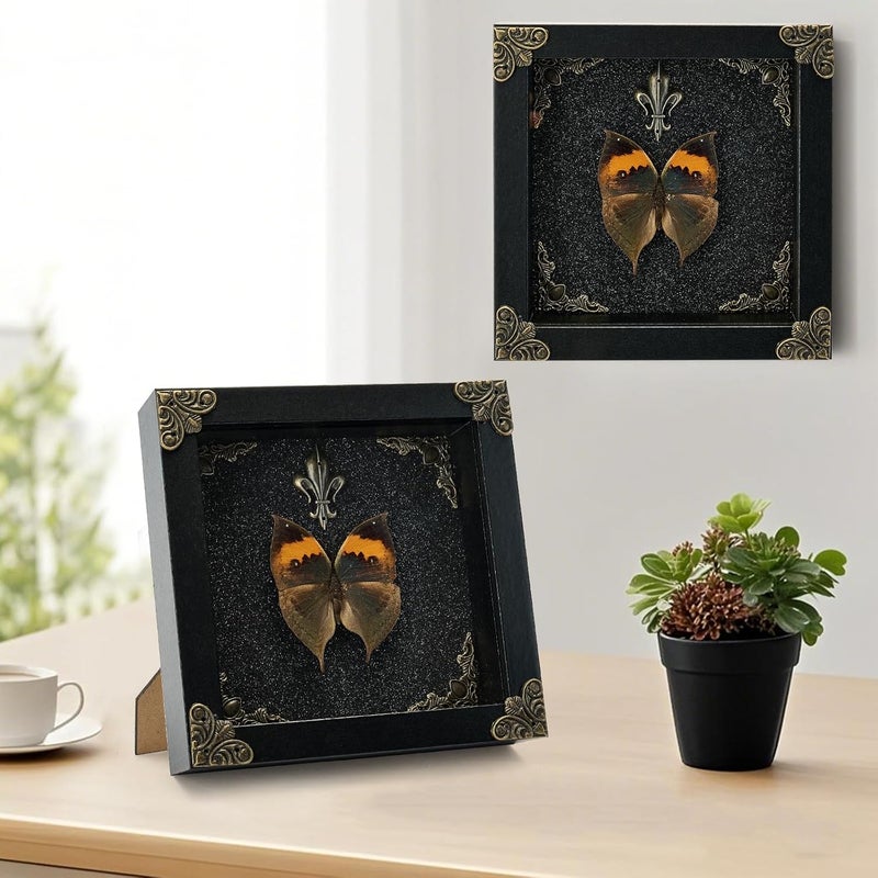 GDBEH Real Butterfly Framed Handmade - Taxidermy Butterfly Shadow Box - Real Framed Butterflies in a Box for Gothic Home Decor Aesthetic. (Kallima Inachus) - Image 4